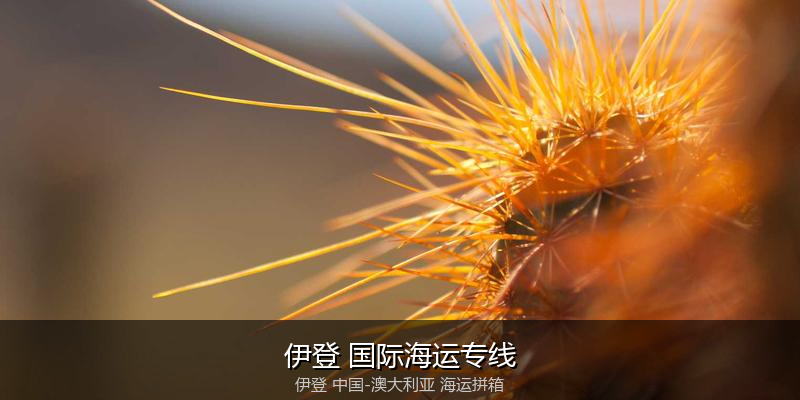 澳大利亚海运专线时效对比与选择指南